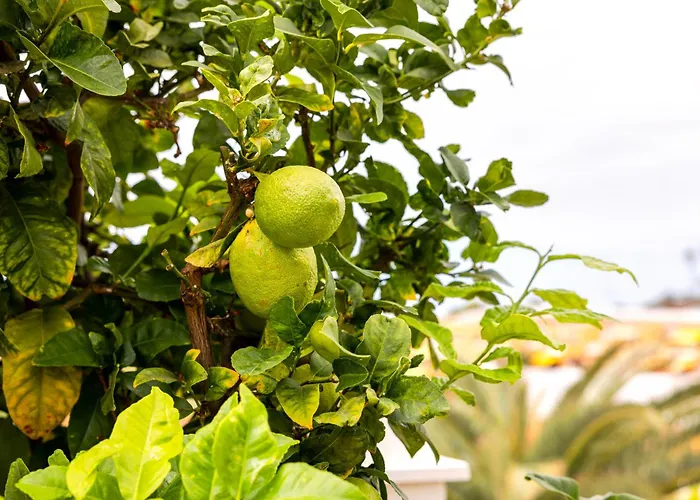 Ellen View A Heated Pool Luxury *